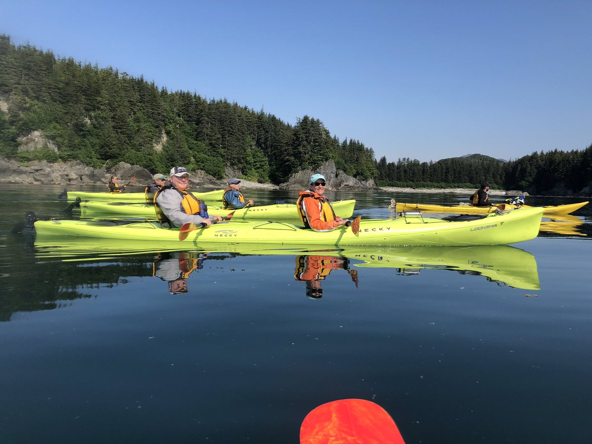 vcelitetravel's tweet photo. Just reliving a really EPIC trip onboard the @UnCruise SS Legacy..  #SUP #kayaking #hiking #Alaska #whales #orca #Cruise #bushwacking #glaciers https://t.co/VcbbtaW6Gs