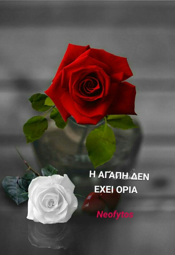 @annakokkinou19 ΚΑΛΟ ΣΑΒΑΤΟΚΥΡΙΑΚΟ Αννουλλα.νά περνάς όμορφα