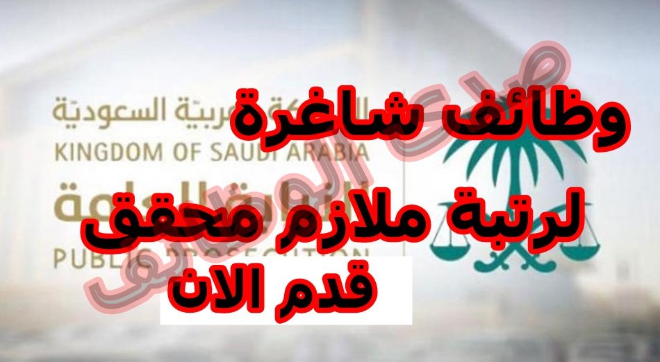 mouna_mohammad's tweet photo. (سجل اسمك الان).. فتح باب التقديم لوظائف (رتبة ملازم محقق) في النيابة العامة السعودية لعام 1441هـ لجميع السعوديين
التقديم مفتوح الان من هنا 👈  https://t.co/hPQBwtVC9l

#عطر_تنصح_فيه https://t.co/Y4Wro5Bjt6