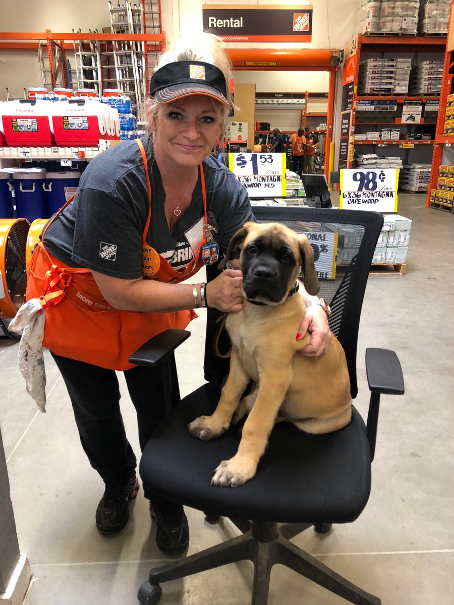 Meet Dozer- I think we found our mascot #6940 #powderspringspretty #mightymidsouth
