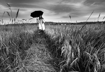 Resmi Twitter'da görüntüle