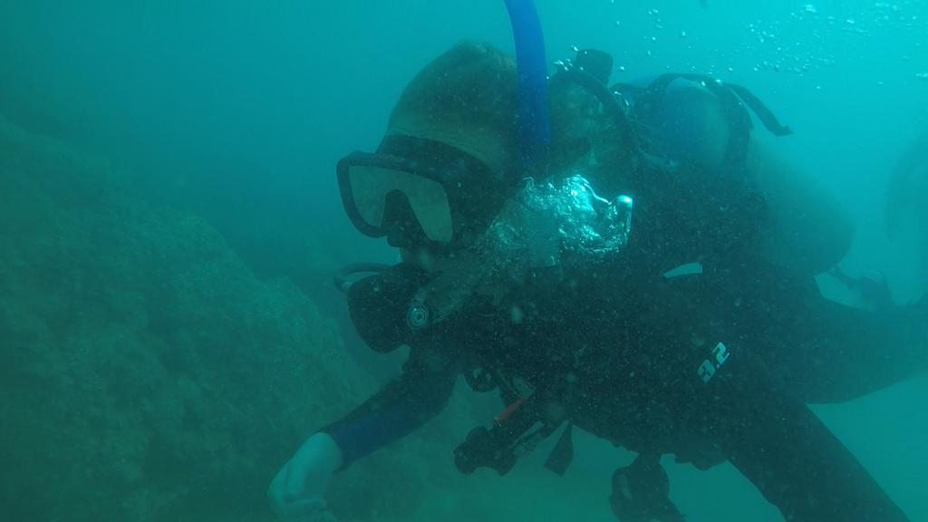 Camp_CostaRica's tweet photo. #TeamIlanIlan took their new diving skills out into the open water today at #CampPapagayo👍🏽 Here's hoping they saw plenty of marine life🐠🦀 #DoSomethingAmazing #CampsEffect @CampsInt https://t.co/RpoQ9igv09