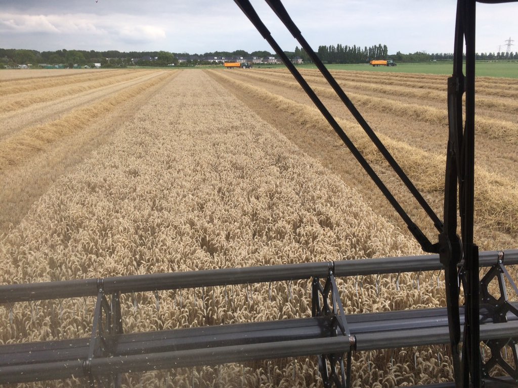 Zomer en Wintergerst, Wintertarwe, Spelt, Emmertarwe, Koolzaad en Veldbonen geoogst afgelopen weken.
Nu nog Soja &amp; Blauwmaanzaad; weer een paar leuke weken achter de rug😄😄😄
