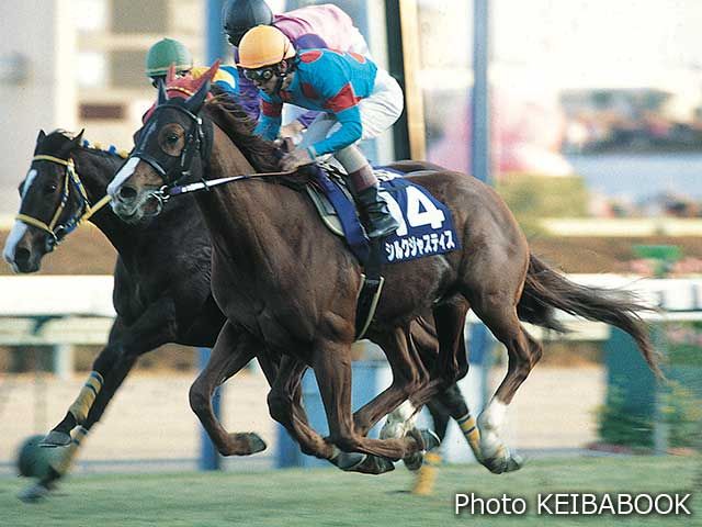 オーギ 吉島広倖 セイウンスカイ 策士の逃げ馬はコッチだろう と思われる方もいるでしょう 確かに そう タップが軍師 司馬懿なら スカイは軍師 孔明ではないでしょうか 超ハイペースで虚をつき 余裕の馬力でぶっちぎった 98年菊花賞は絶対に