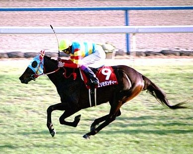 オーギ 吉島広倖 セイウンスカイ 策士の逃げ馬はコッチだろう と思われる方もいるでしょう 確かに そう タップが軍師 司馬懿なら スカイは軍師 孔明ではないでしょうか 超ハイペースで虚をつき 余裕の馬力でぶっちぎった 98年菊花賞は絶対に