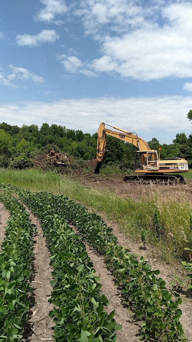 Making 2020 better than 2019. #nomoretrees