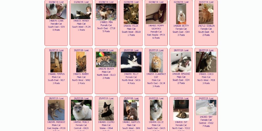 DogLostUK's tweet photo. #LOST #CATS * August 3rd - July 24th 2019 * #Caturday

These #LostCats are registered on the @DoglostUK site
If you have info about any of these cats go to https://t.co/uP2Qg2dnlk put the ID NUMBER (shown under photo) in search menu &amp; put info as a comment on the cats pg * PLS RT https://t.co/tVcWbGU7zQ