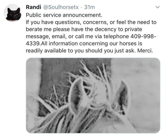AboutRandi's tweet photo. What is indecent about asking Randi questions about the horses she bails?  She should answer any and all questions publicly anyone has for her, and not block you if you ask.  @LindaC2010 @moondance27 @GerdasEquineRes @neumiesboy @NMLiberal @RidemDoc https://t.co/spZszSEGjC