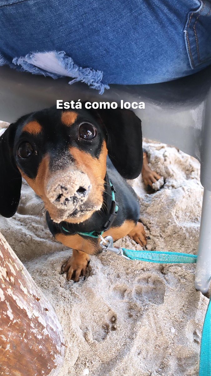 marupadron_'s tweet photo. Las fotos que realmente valen la pena https://t.co/tdPjIPYFxF