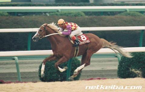 オーギ 吉島広倖 38 メイセイオペラ 地方馬にして中央g1を制した 日本競馬史上唯一の馬 38 アブクマポーロ そのオペラに１度も負けなかった 地方馬の英雄 地方にもヤベェのは居るんだな と 思わせてくれた２頭だと思う 下剋上はある