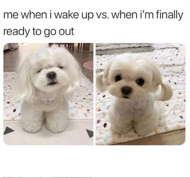 McAllenNext tweet media