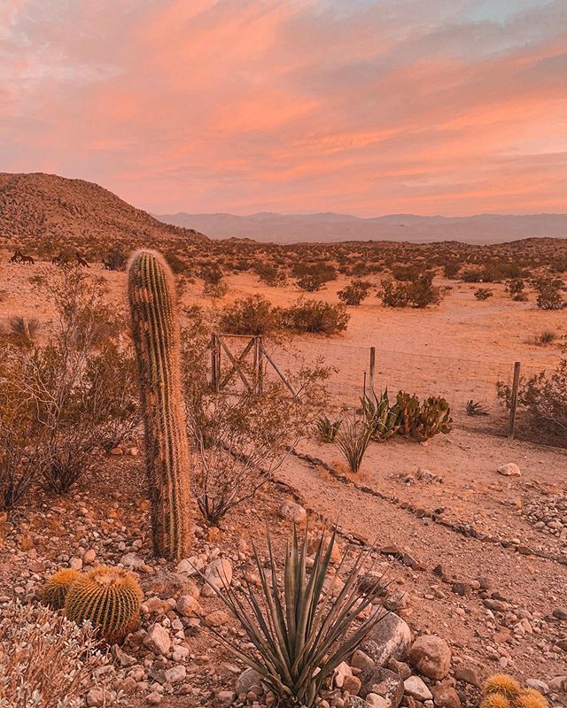 Sara Combs tweet media