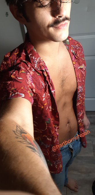 I took a picture. I like my Hawaiian shirt. I've had it for 3 years :) https://t.co/RbTheGh3RG