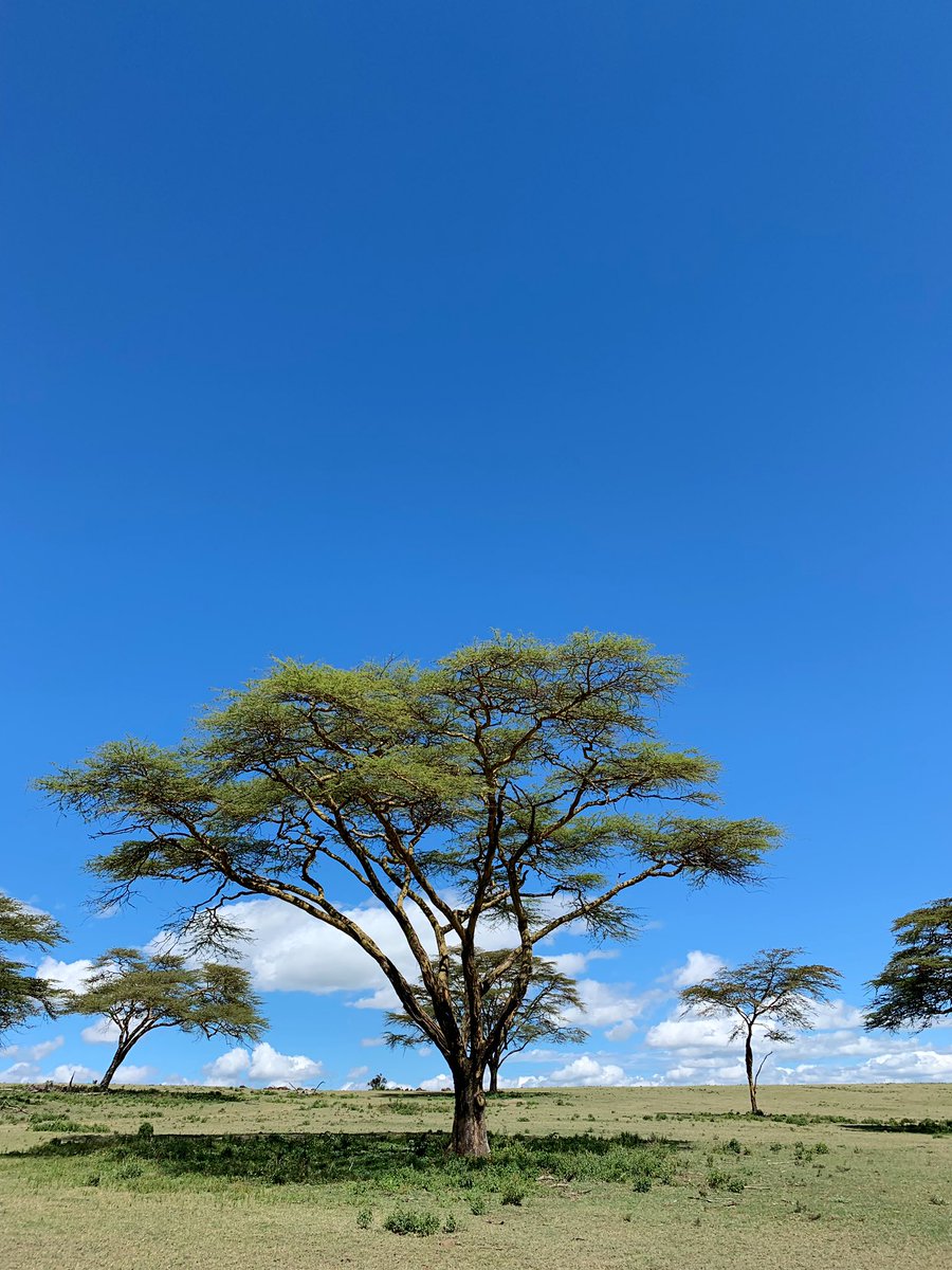 It was my first time going to Naivasha today after being in kenya for 7 months - I am Blown Away!