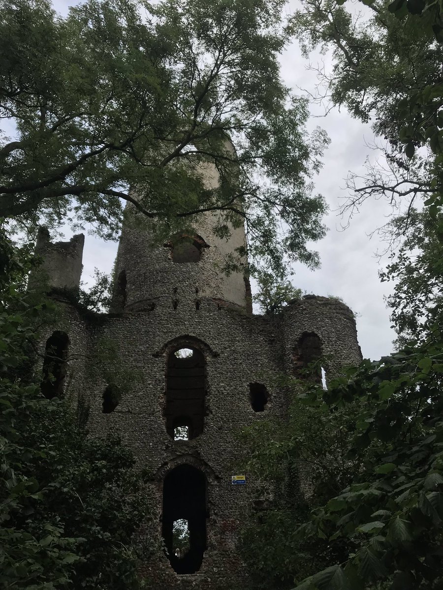 nexum5me's tweet photo. Racton tower/ruin, just west of Chichester, this evening #racton https://t.co/1vGpYKuKDl