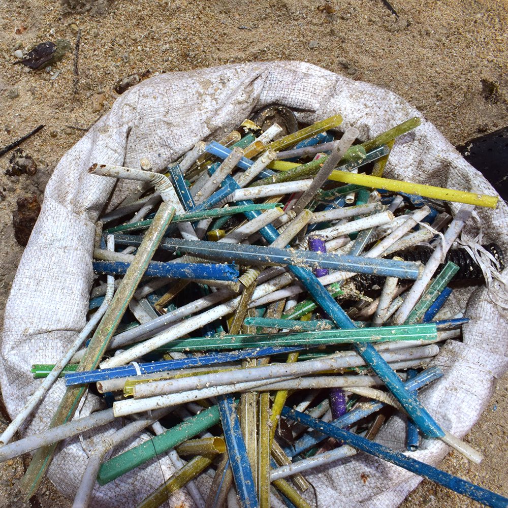 4ocean's tweet image. “It’s just one straw,” said 8 billion people.