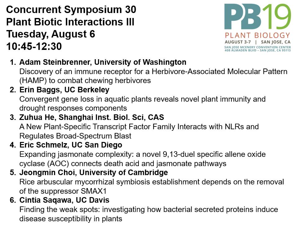 ADSteinbrenner's tweet photo. Finishing off slides at #PlantBio19, I'll be chairing Plant Biotic Interactions III on Tuesday morning. Come hear about perception and signaling mechanisms in several interesting systems https://t.co/i8ooaXcooH