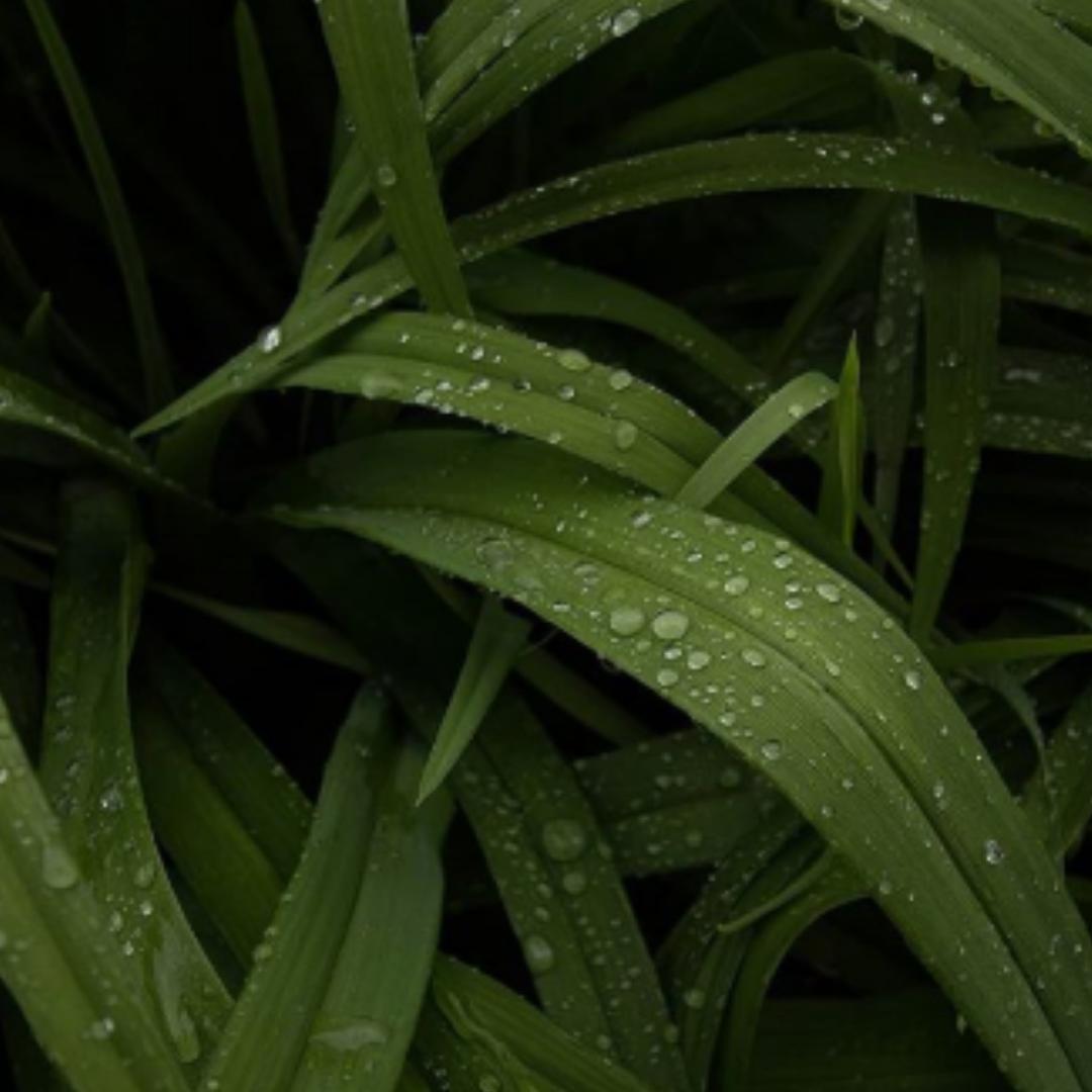 Get outside and enjoy what the Earth has to offer. 🌿🍁🌱 
#MuskokaCannabisExpo is NOW!
buff.ly/2Yt4TI9

📸Photo Credit: buff.ly/2YmIZC8