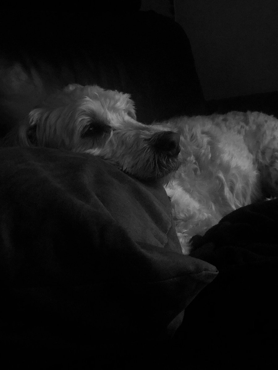 Love being back home, especially seeing this one. But I’m actually excited to get back to Manchester for Tuesday!