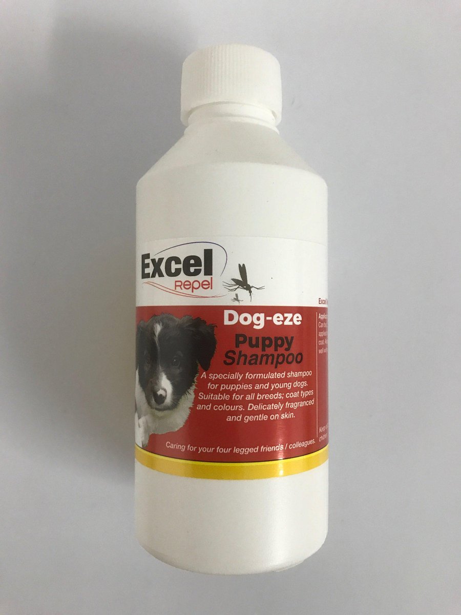GoodVetPetGuide's tweet photo. .@excel_repel their Puppy shampoo is delicately fragranced and gentle on skin. Suitable for all breeds; coat types and colours. #dogs #puppy https://t.co/LHQyfK1JVL https://t.co/B8TSCVuAbE