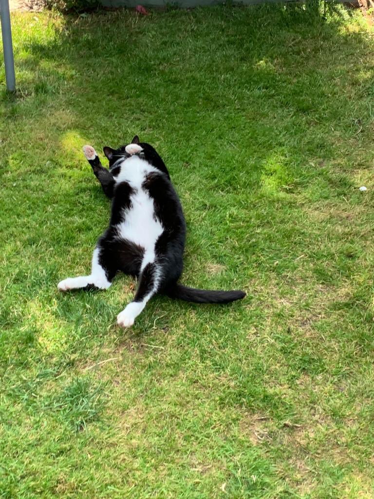 kathwild1's tweet photo. @MrPatchy001 I’m so sorry for your loss. Henry and Angus send their love. We really hope that things get better for you, just remember you are worth it. X https://t.co/dpzxDp7ZsB