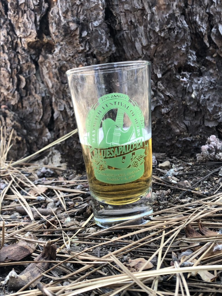 Year Three of reporting from the Mammoth Beer Festival and #bluesapalooza - starting this year off with, no surprise, <a href="/bearrepublic/">Bear Republic</a> Viking Beach Party in a can! Softer lemony hops and a wheat-type malt feel proves even a brutal IPA brewer needs to chill out once in a while.
