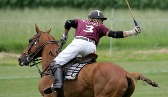 PoloWeekly's tweet photo. Interested in playing polo in Bern? Here's how to get started with private lessons: https://t.co/NT55AwdyCN https://t.co/drzCi8nTrE