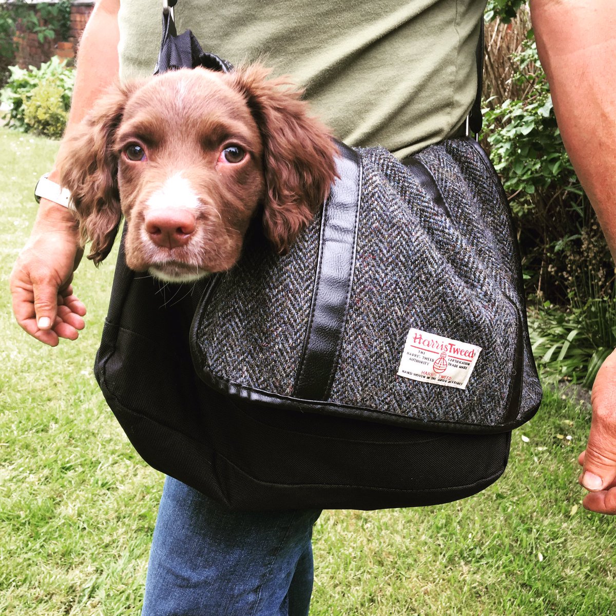 It’s the new fashion! #puppylove