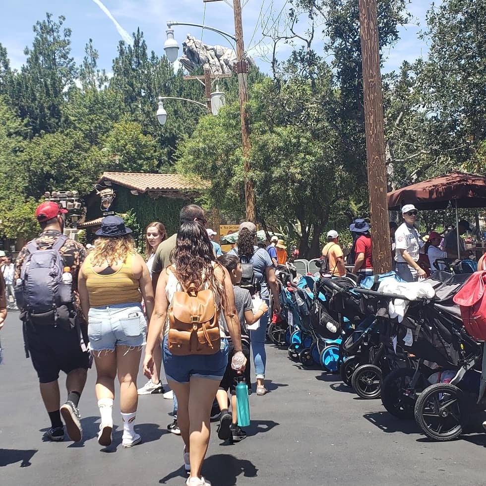AverageWatchers's tweet photo. Our morning kicks off right! #disneycaliforniaadventure #guytrip #youraveragevacation #disneyland https://t.co/RSDlgHH43W