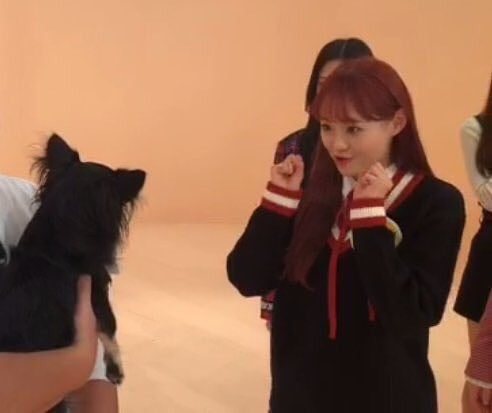 Chuu as Lenin-the popular one-face is on everything official, everyone likes them even if theyre not into loona/communism-came up w/ all kinds of trends and tendencies-way with words, vocally talented-dedicated fanbase-cute-legalized homosexuality-died tragically