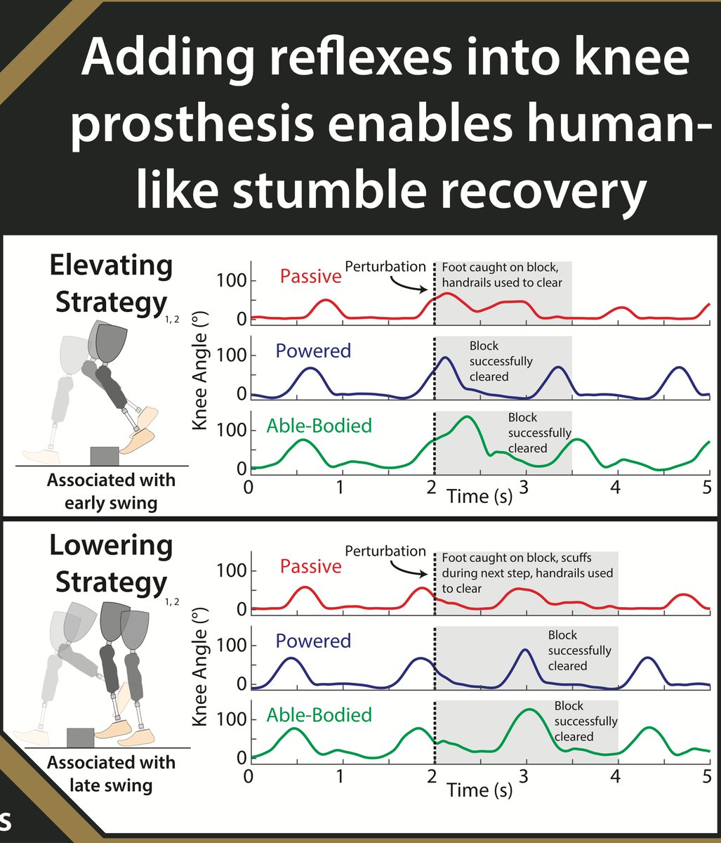 <a href="/BiomechanicsDay/">National Biomechanics Day</a> <a href="/maxdonelan/">Max Donelan</a> <a href="/KingShane37/">Shane King</a> <a href="/EveldMaura/">Maura Eveld</a> If you are at <a href="/ISB_ASB2019/">ISB-ASB 2019</a> &amp; interested in an update on the stumble treadmill system &amp; how we are building human-like stumble recovery reflexes into powered prosthetic knees, then please come check out the poster (#3-721) &amp; videos from <a href="/shaneking37/">Shane King</a> &amp; <a href="/EveldMaura/">Maura Eveld</a> today at 4pm.