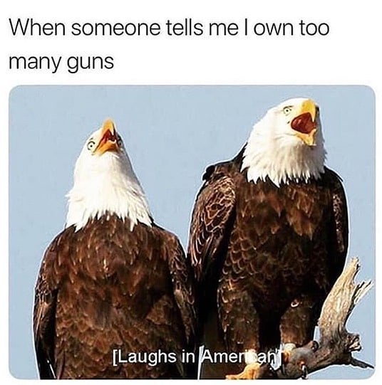 SDI_school's tweet image. 🤣🦅🇺🇸
PC: @theherodied 

#gunmeme #gunmeme #gunhumor #usa #merica #2a #pewpew #pewpewpew #pewpewlife #humor #haha #eagle #americanflag