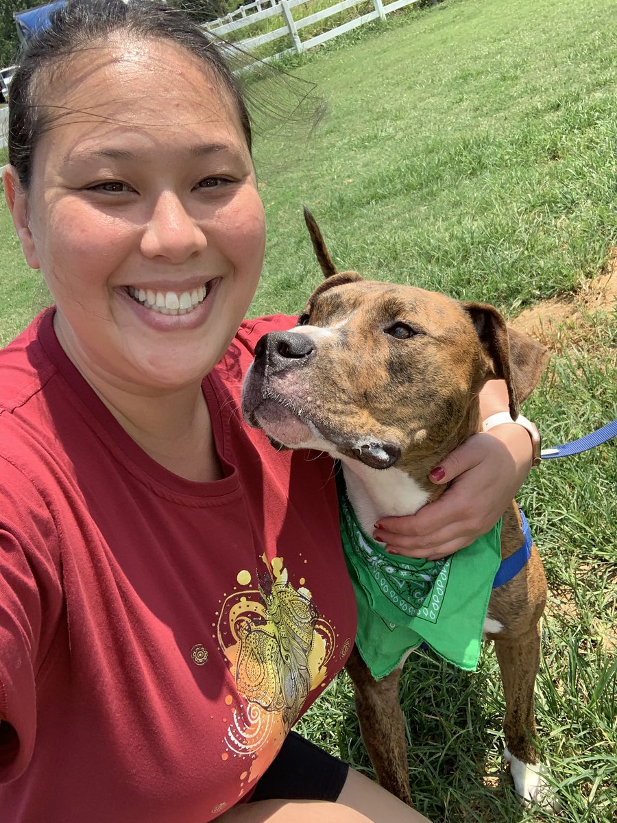 gracierose71's tweet photo. Meet Eli:sweet friendly pup who had surgery on his back two legs. Perfect for families with older children and/or adult parents! You can adopt him at @hsycpupskits #RateGISHDogs @dog_rates #gish2019 #AdoptMePets https://t.co/laKLaZe3A2