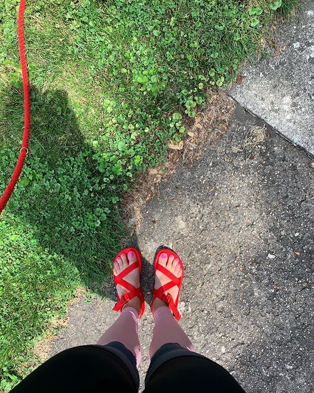 mgnhnsn's tweet photo. Bright red shoes make me oh, so, happy @chacofootwear https://t.co/FJN24SUcPV https://t.co/00BIHeJwpr