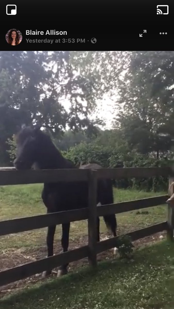 leemo428's tweet photo. @JustinMcElroy @travismcelroy @griffinmcelroy @MBMBaM                      Horse healer dot net #farmwisdom https://t.co/aOmumbZ09v