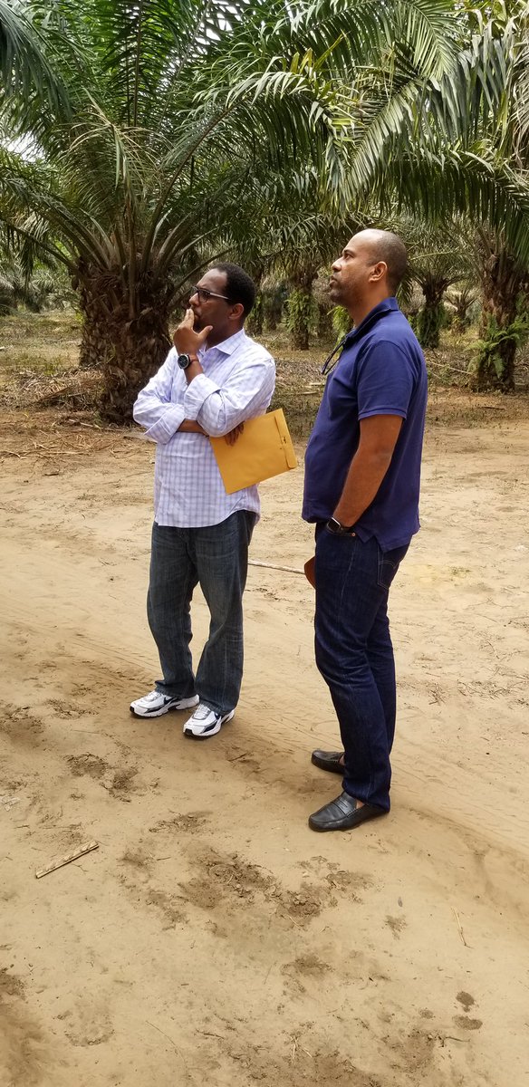 micheldjombo's tweet photo. L’Honorable @Depute_Ganao nous a fait l’honneur de visiter le #CAPFOR de @GTCCongo
Ca a été un réel plaisir de présenter notre exploitation.
Merci Honorable pour l’intérêt porté à la production locale. https://t.co/YNv1tHAoXv