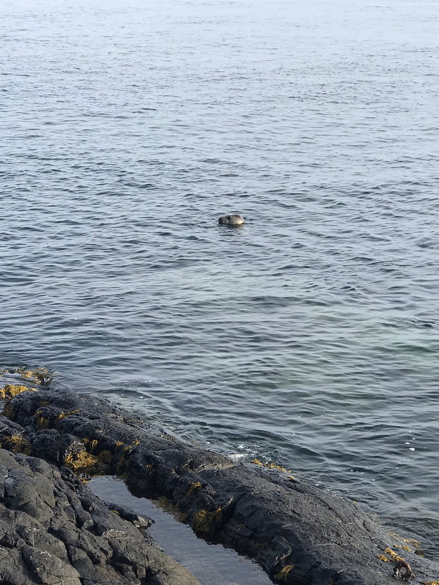 bambershort's tweet photo. Lovely evening trip to the Farnes &amp; Longstone Lighthouse tonight. https://t.co/dafkGg377z