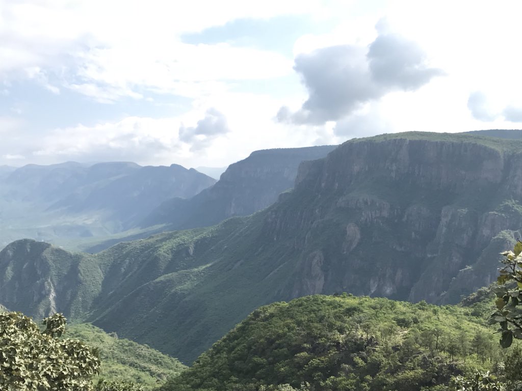 analosan's tweet photo. La Guajolota, Durango, aquí en este rincón del México profundo, los pueblos Odam, Aodam (Tepehuano),Wirarika y Mexicanero participaron en el Proceso de Consulta para la Reforma Constitucional convocado por el @INPImx plantean la urgencia del reconocimiento del MUNICIPIO INDÍGENA https://t.co/VUZLpfpxtA