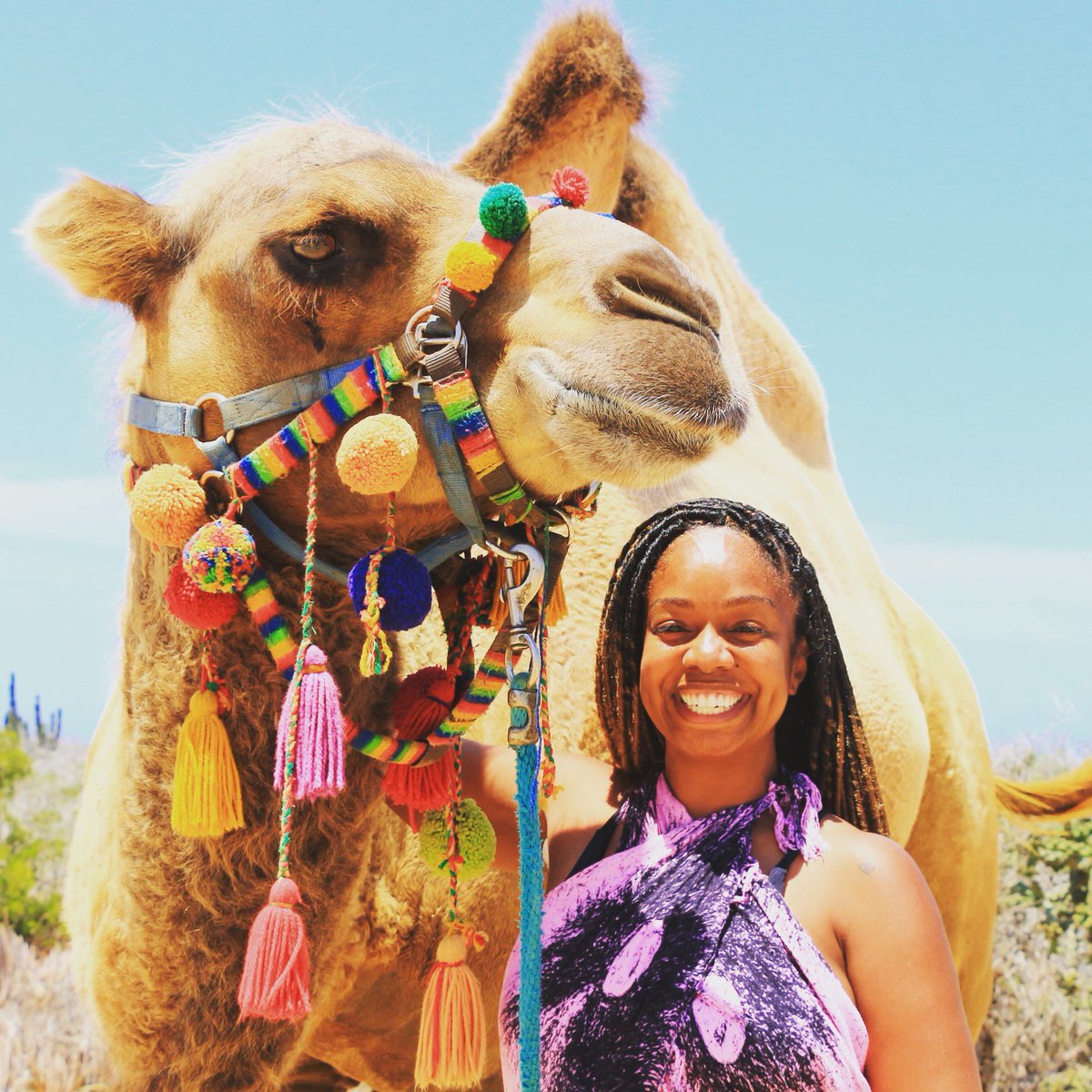 P3canParadis3's tweet image. When you bucket list becomes a reality 😊 #camelsincabo #caboadventures