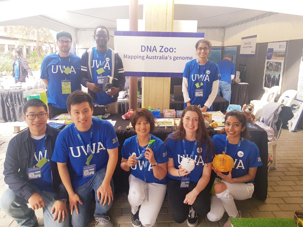 Come join us for a FUN DNA experience with DNA Zoo Australia Crew with VR journey into your chromosomes #UWAOPENDAY <a href="/ScienceUWA/">Science at UWA</a> <a href="/SAgE_UWA/">UWA SAgE</a> <a href="/uwanews/">UWA</a>