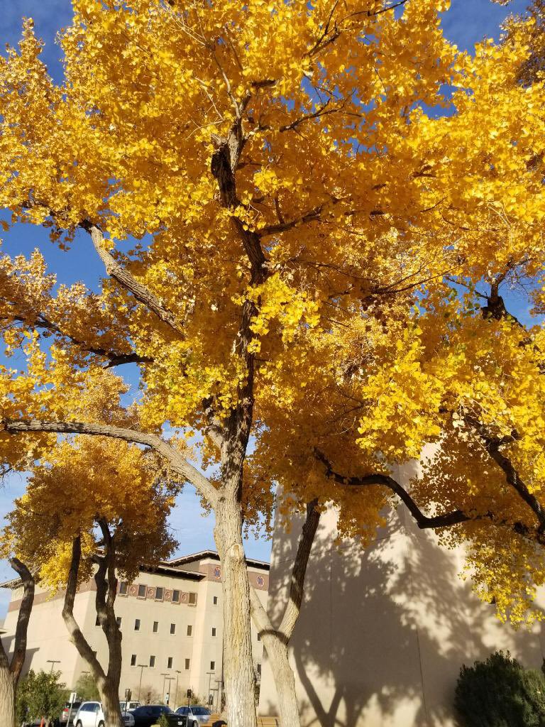 Jasy_Jazz's tweet photo. El Paso so beautiful.. stay strong 💛#ElPasoStrong https://t.co/oOYMMgo7LK