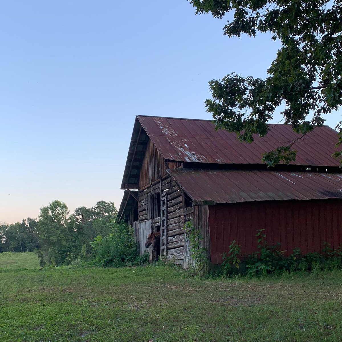 Truly God’s Country. #TaylorTribe #TaylorFarm