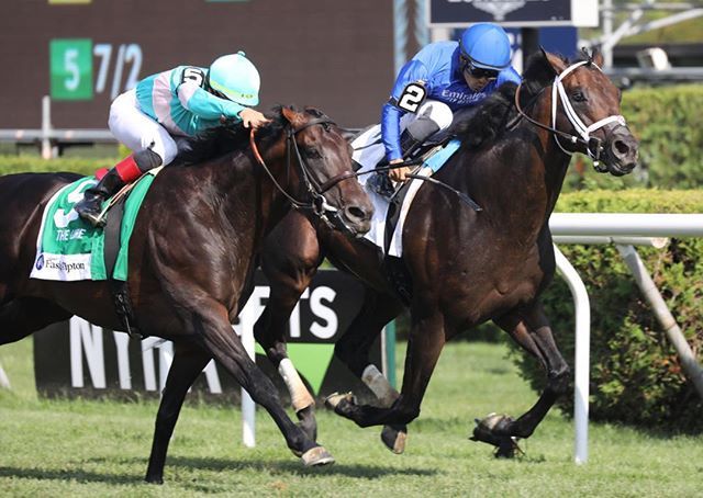 PhotosbyZ's tweet photo. Lucullan with Luis Saez up wins the 2019 Fasig-Tipton Lure for trainer Kiaran McLaughlin and owner Godolphin Stable @godolphin @fasigtipton https://t.co/B2sicOIHUI https://t.co/thRnGVVMg2