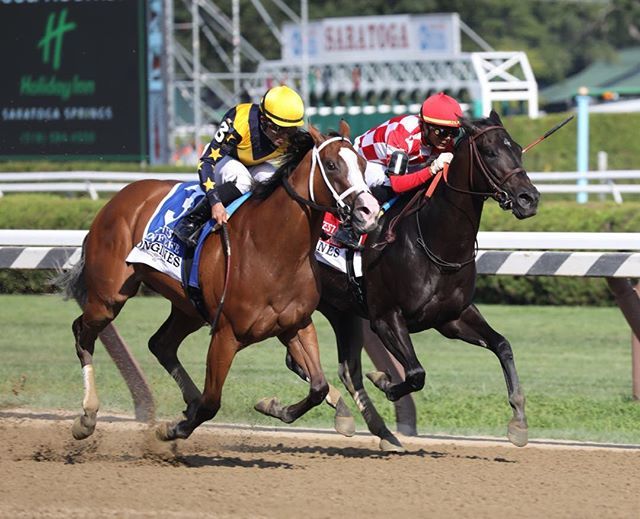 PhotosbyZ's tweet photo. Covfefe with Joel Rosario up wins the 2019 Longines Test for trainer Brad Cox and owner LNJ Foxwoods @LNJFoxwoods @spendthriftfarm #covfefekerfuffle https://t.co/pTIiboDGTT https://t.co/1nC6uwciOq
