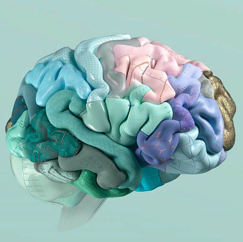 AlphaWaveCoffee's tweet photo. Alpha Wave is good for your brain. Take our word for it. https://t.co/MPYNQfGkv4