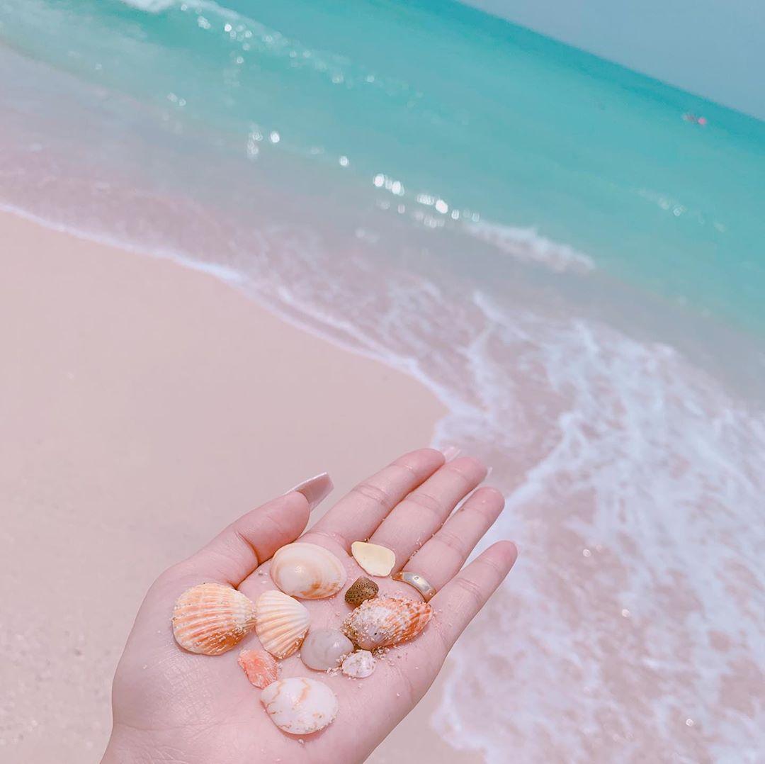Pony_Jean's tweet photo. 🐚 https://t.co/lsh52ZWWIN