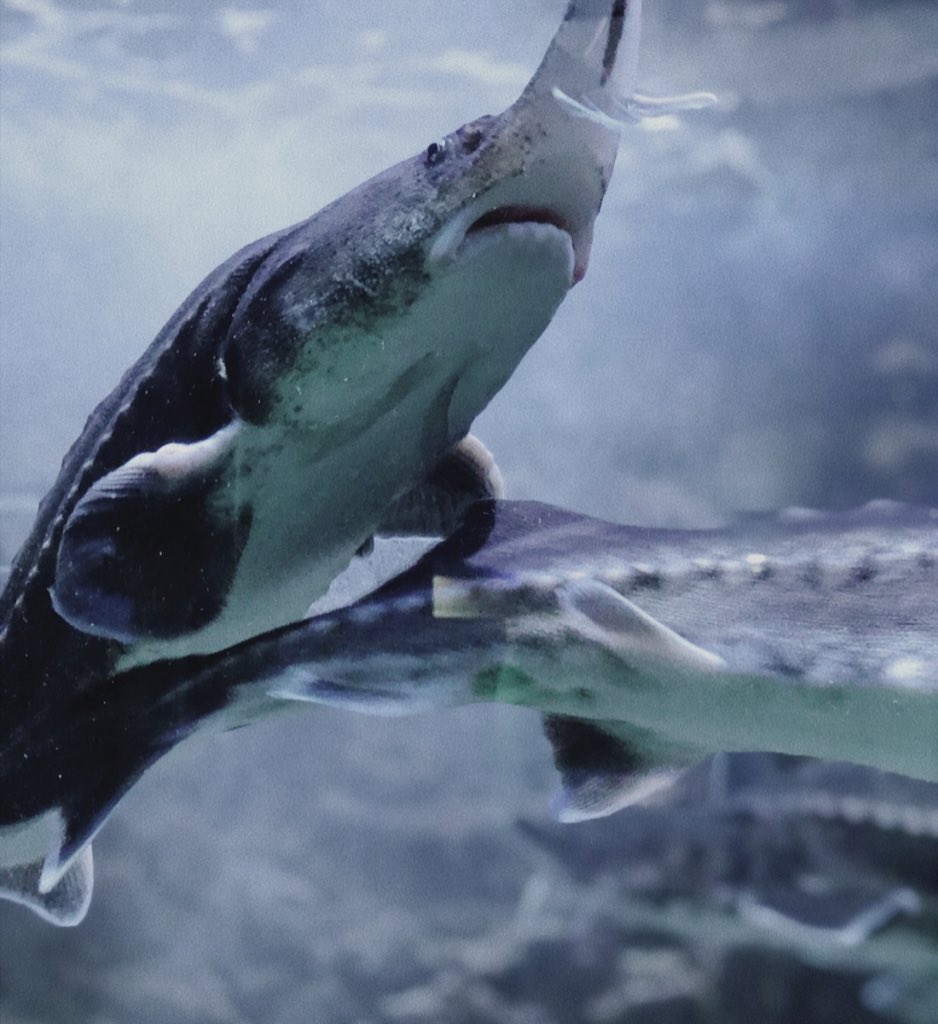 flowrue's tweet image. down to the bottom, 10,000 emerald pools