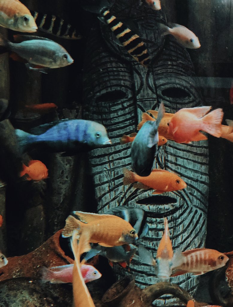 flowrue's tweet image. down to the bottom, 10,000 emerald pools