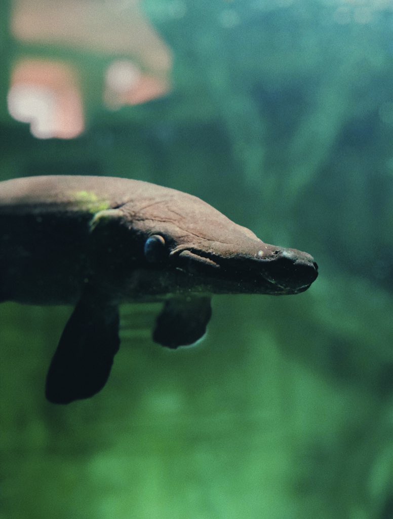 flowrue's tweet image. down to the bottom, 10,000 emerald pools