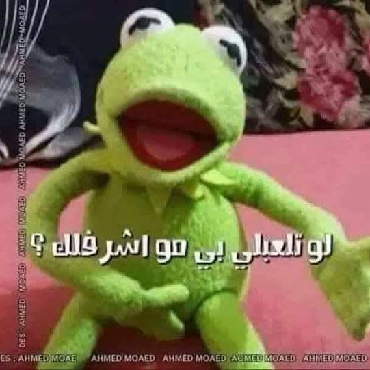 MBiiile's tweet photo. @Bibobiba43 احلة نيجة منك اويييله🍓🍓 https://t.co/ROCC6yzbJ2